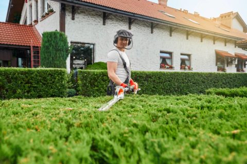 Održavanje zelenih površina